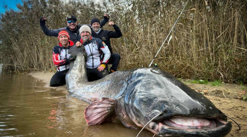 Rekordowy połów w Rybniku – polscy wędkarze złowili suma o długości 292 cm