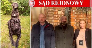 Grafika przedstawiająca budynek sądu z czerwonym napisem „Sąd Rejonowy” oraz dwie osoby stojące przed wejściem
