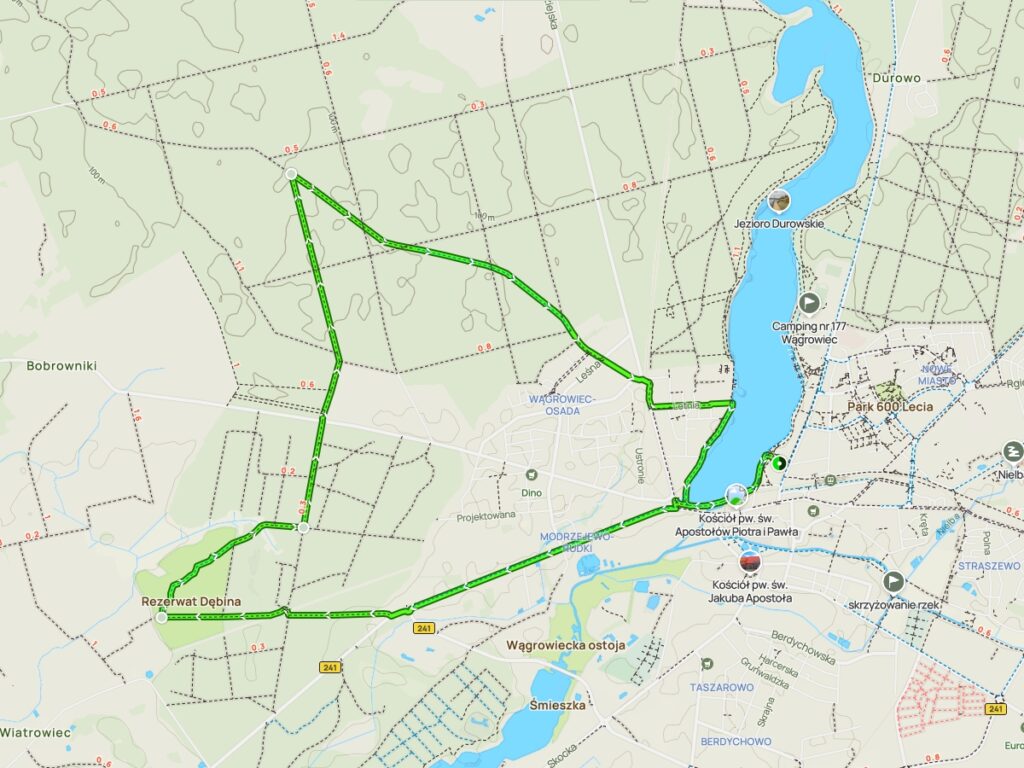 Mapa tras pieszych w rezerwacie przyrody Dębina w powiecie wągrowieckim