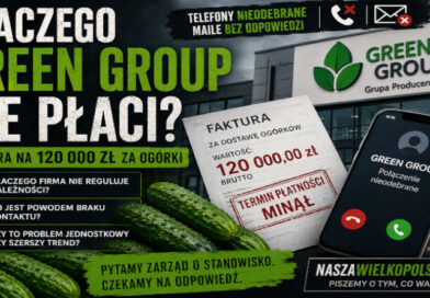 Grupa Producentów Green Group Sp. z o.o. – pytania o nieuregulowaną fakturę na około 120 tys. zł za ogórki